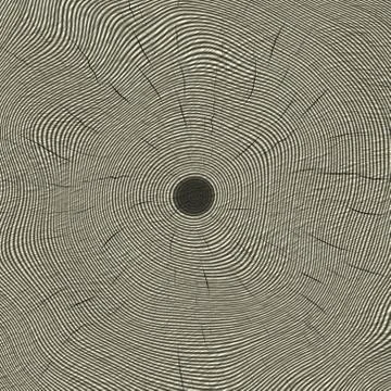 Annual rings in cut tree 스톡 일러스트