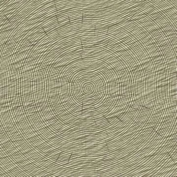 Annual rings in cut tree 스톡 일러스트