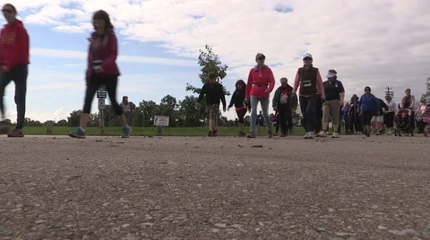 Annual Terry Fox run event Stock Footage 41805855
