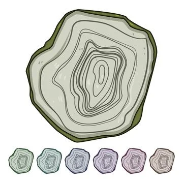 Annual tree rings cartoon vector graphic Stock Illustration