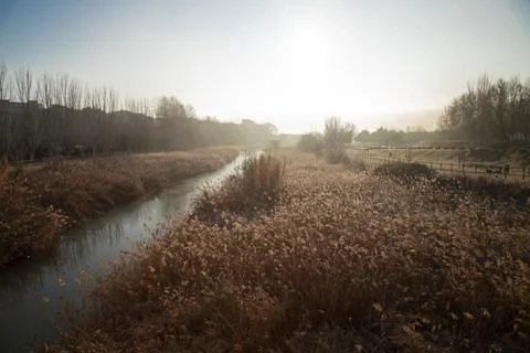 Anoia river in Vilanova Stock Photos