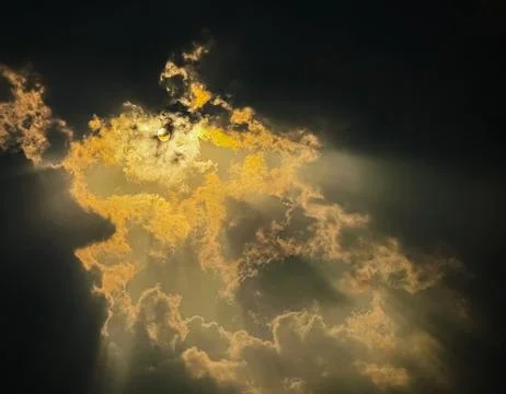 Anointed Stock Photos