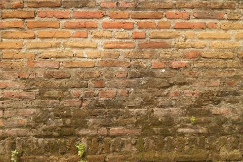 Anold mossy brick wall Stock Photos