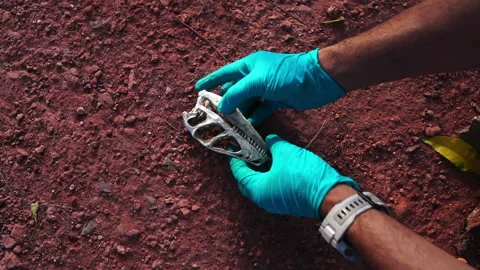 Anonymous archaeologist working with dinosaur skull Stock Footage 251331952