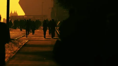 Anonymous crowd walking on street during golden sunset Stock Footage 330028854