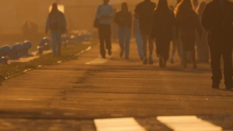 Anonymous crowd walking on sunlit street at sunset Stock Footage 330202252