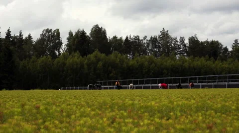Anonymous farm workers work in the nursery Stock Footage 46231784