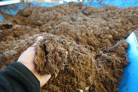 Anonymous farmer preparing peat moss for container gardening Foto stock