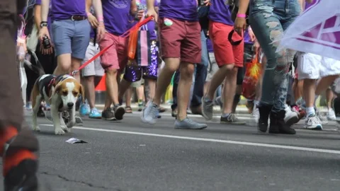 Anonymous feet walking at Pride march London Stock-Footage 92019158