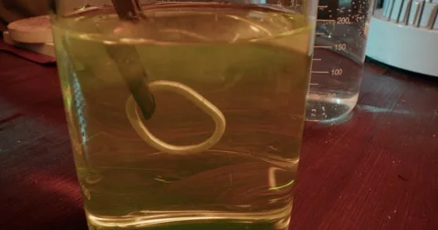 Anonymous goldsmith cleaning silver ring in ultrasound Stock Footage 265661614