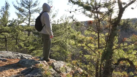 Anonymous Hiker in Forest Video stock 237210599