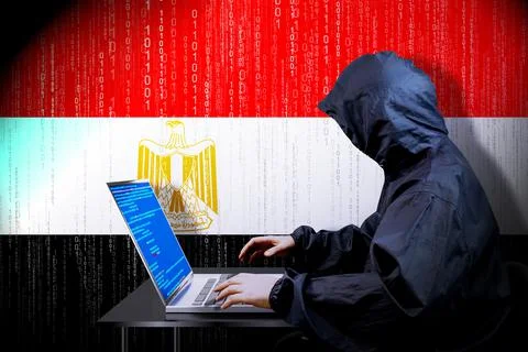 Anonymous hooded hacker, flag of Egypt, binary code - cyber attack concept 스톡 일러스트
