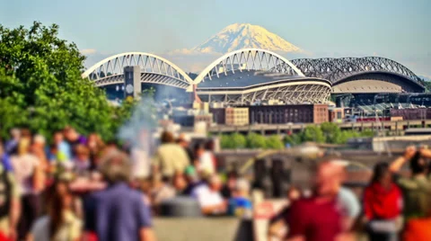 Anonymous Large Crowd Time Lapse Park Vídeo Stock 31828241