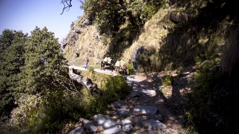 Anonymous man and mules on mountain path Video stock 97857210