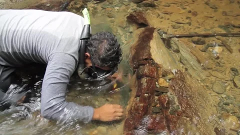 An anonymous man in a river prospecting looking for for gold using diving mas Stock Footage 130614448