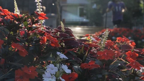 Anonymous man running in a colorfull flower setup 動画素材 114664183