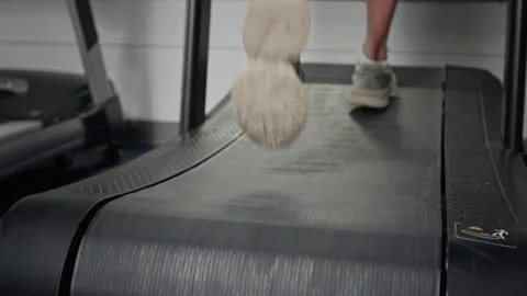 Anonymous Man Running on Curved Treadmill during Intense Cardio Workout Stock Footage 339888007