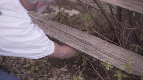 Anonymous Man Trimming Bottom Of Tree Stock Footage 88013706