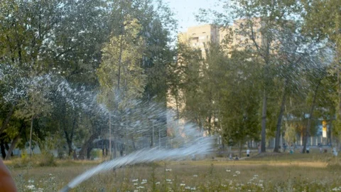 Anonymous man watering a lawn Video stock 112722002