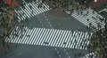 Anonymous People Crowded Sidewalk Crowd Walking Crosswalk Busy City Street Tokyo HD Footage