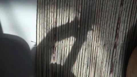 Anonymous shadow playing a ukulele, silhouette playing guitar Stock Footage 142850067