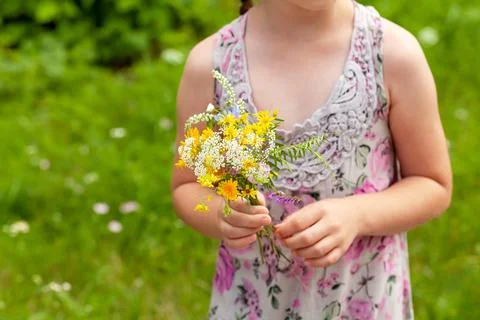 Anonymous unrecognizable elementary school age child holding field flowers Stock Photos