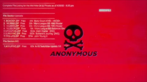 Anonymous Warning Text on hacking background screen Stock Footage 317054482