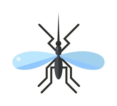 Anopheles mosquito vector illustration Stock Illustration