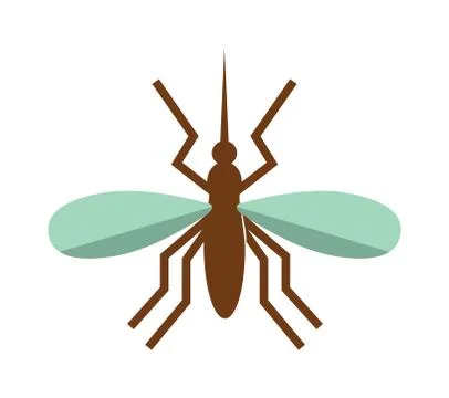 Anopheles mosquito vector illustration Stock Illustration