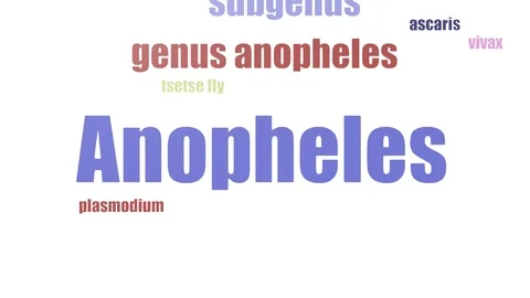 Anopheles Word Cloud Animated Isolated O... | Stock Video | Pond5