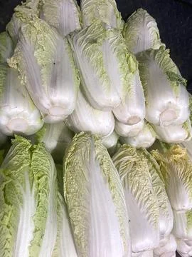 Another angle of stacked fresh heads of bok choy sit ready for sale. Photos