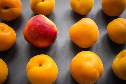 Another, different, unlike. Stock Photos