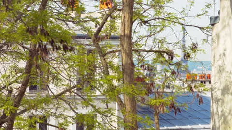 Another eiffel Stock Footage 50488940