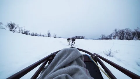 Another husky sledding Vídeos de archivo 89503566