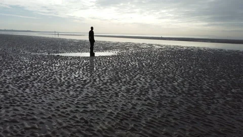 Another Place, Crosby Beach Stock Footage 233354822