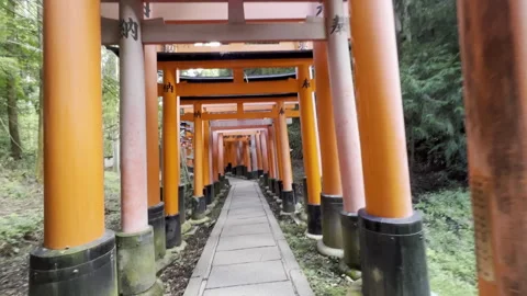 Another POV shot walking through iconic orange gates of Fushimi Inari Taisha Stock Footage 253287368