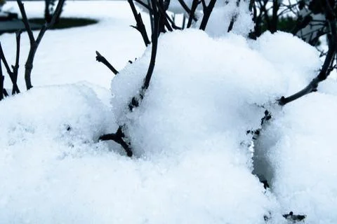 Another Snow Day Stock Photos