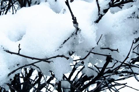 Another Snow Day Stock Photos