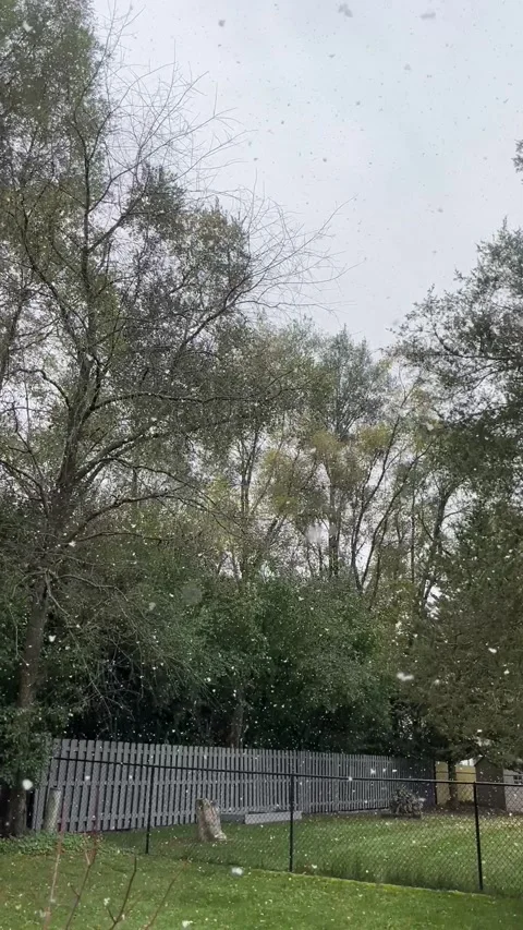 Another snow video Video stock 279523704