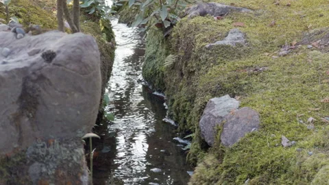 Another Stream View 스톡 동영상 316071336