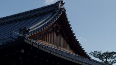 Another Temple View 스톡 동영상 316071277