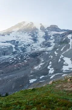 Another view of Mt. Rainier Stock Photos