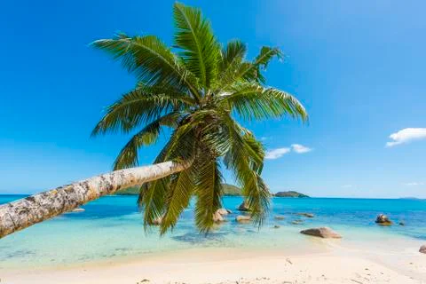 Anse Boudin beach Foto stock