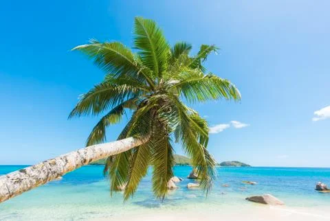 Anse Boudin Foto stock