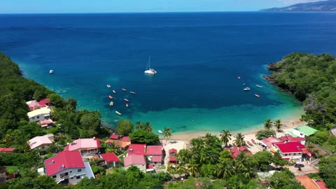 Anse dufour famous snorkeling bay turtle... | Stock Video | Pond5