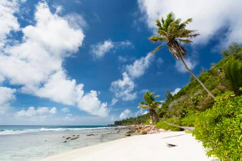 Anse Fourmis in La Digue, Seychelles with palm trees and white sand Stock Photos
