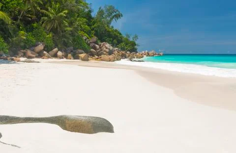 Anse Georgette Stock Photos