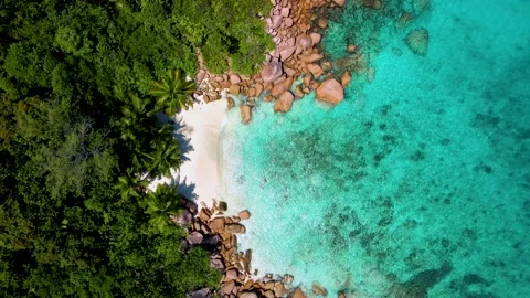 Anse Lazio Beach Praslin Island Seychell Stock Video Pond