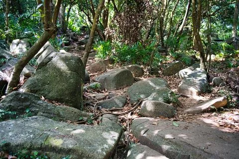 Anse major nature trail rocks and shaded area Stock Photos