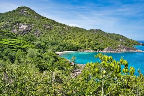Anse major nature trail second view point Stock Photos